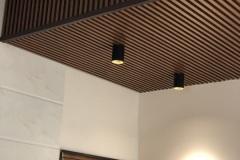 IMG_1447